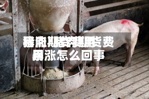 猪肉期货费用
暴涨/猪肉期货费用
暴涨怎么回事-第3张图片