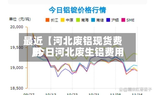 最近【河北废铝现货费用
,今日河北废生铝费用
】-第2张图片