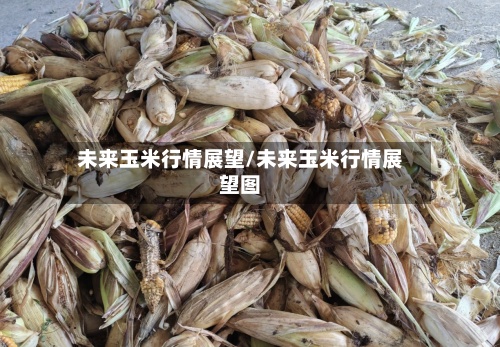 未来玉米行情展望/未来玉米行情展望图
