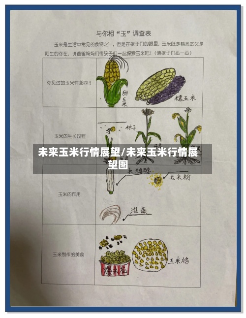 未来玉米行情展望/未来玉米行情展望图-第2张图片