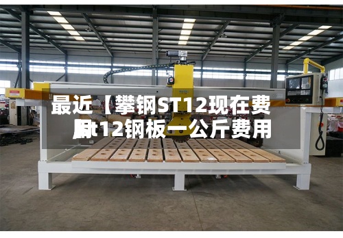 最近【攀钢ST12现在费用,st12钢板一公斤费用】-第2张图片
