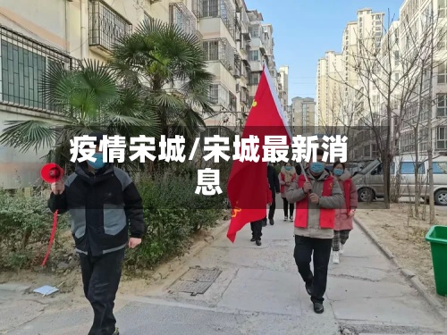 疫情宋城/宋城最新消息