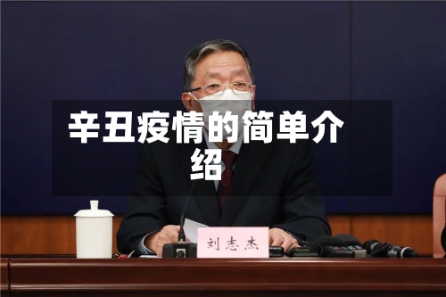 辛丑疫情的简单介绍