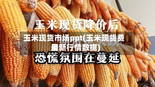 玉米现货市场ppt(玉米现货费用最新行情数据)-第2张图片