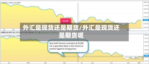 外汇是现货还是期货/外汇是现货还是期货呢-第2张图片