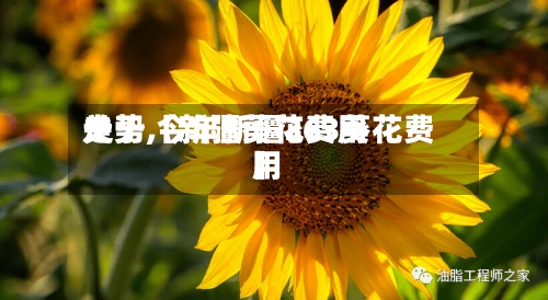 关于【新疆葵花费用
走势,今年新疆363葵花费用
】-第2张图片