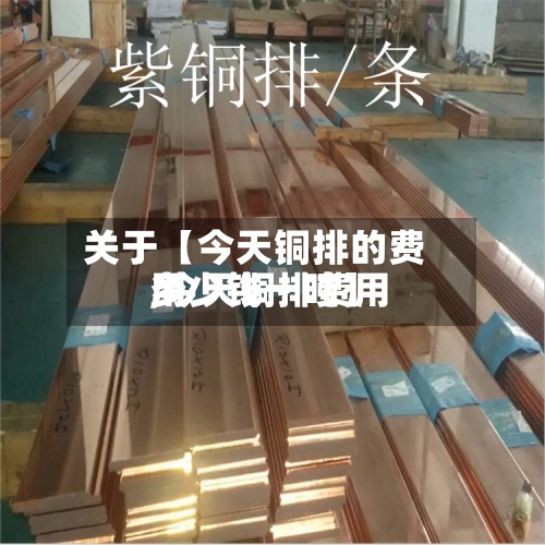 关于【今天铜排的费用
,今天铜排费用
多少钱一吨】-第2张图片