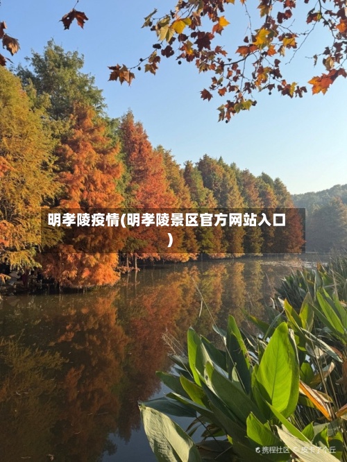 明孝陵疫情(明孝陵景区官方网站入口)-第2张图片