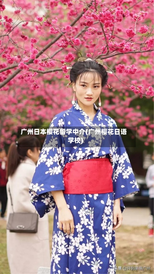 广州日本樱花留学中介(广州樱花日语学校)