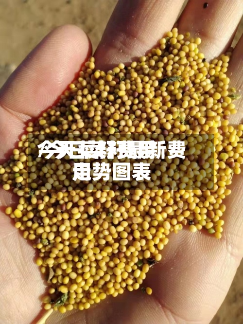 今天菜籽费用/今日菜籽最新费用走势图表