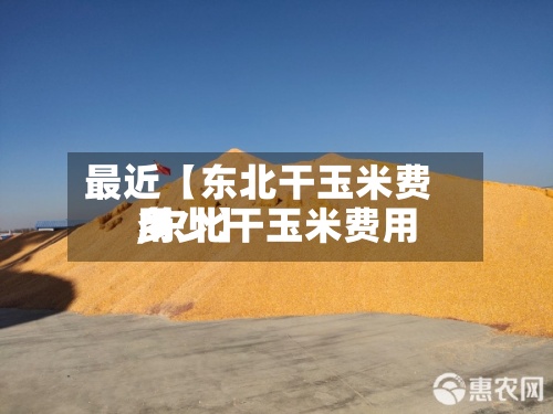 最近【东北干玉米费用
,东北干玉米费用
多少】-第2张图片