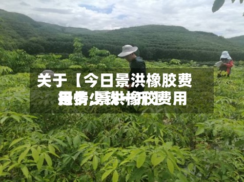 关于【今日景洪橡胶费用行情,景洪橡胶费用是多少钱一斤】