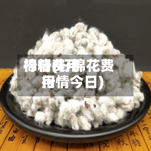 棉籽费用
行情(籽棉花费用
行情今日)-第2张图片