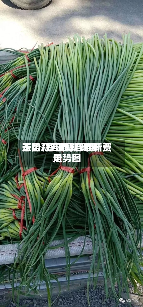 苍山蒜苔最新费用
走势/苍山蒜苔最新费用
走势图-第2张图片