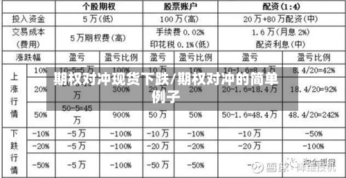 期权对冲现货下跌/期权对冲的简单例子