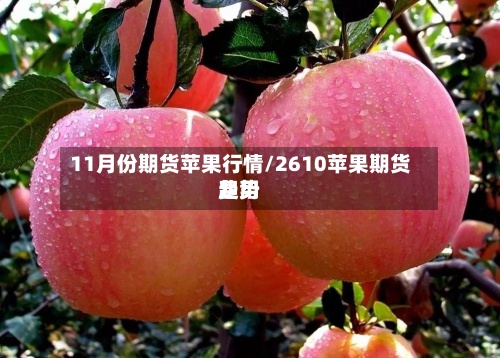 11月份期货苹果行情/2610苹果期货费用
趋势-第2张图片