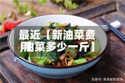 最近【新油菜费用,油菜多少一斤】-第2张图片