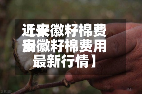 近来
【安徽籽棉费用
安徽籽棉费用
最新行情】-第2张图片