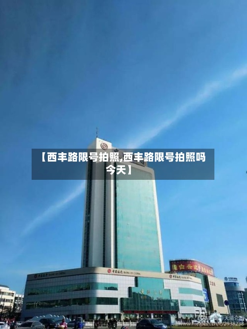 【西丰路限号拍照,西丰路限号拍照吗今天】-第3张图片