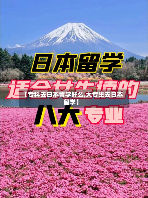 【专科去日本留学好么,大专生去日本留学】