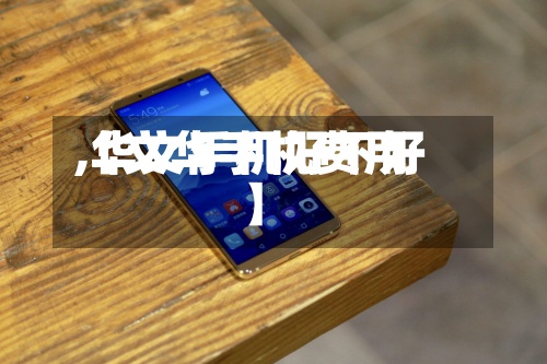 【文华手机费用,华文手机好不好】-第2张图片