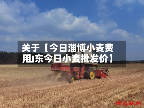 关于【今日淄博小麦费用
,山东今日小麦批发价】