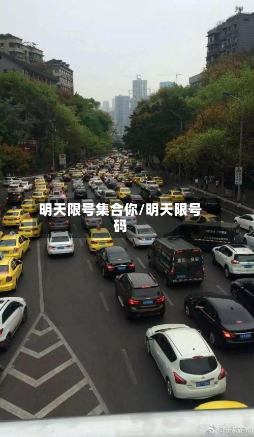 明天限号集合你/明天限号码