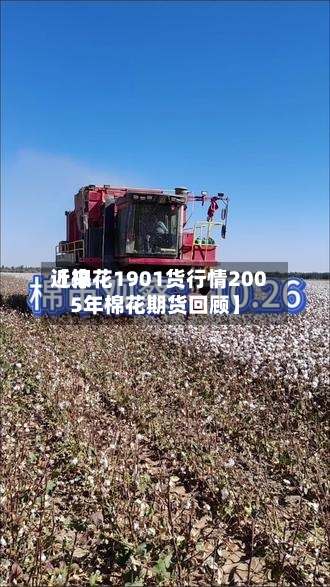 近来【棉花1901货行情2005年棉花期货回顾】-第2张图片