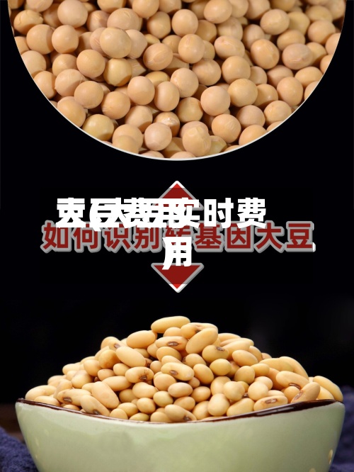 大豆费用豆(大豆实时费用)-第2张图片