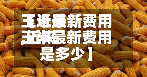 【近来玉米最新费用,近来玉米最新费用是多少】-第3张图片