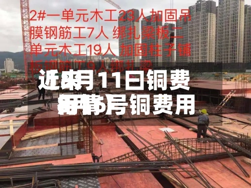 近来【8月11曰铜费用8月6号铜费用行情】