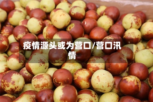 疫情源头或为营口/营口汛情-第2张图片