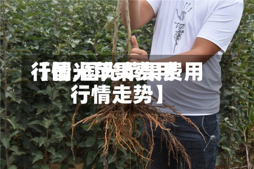 【国光苹果费用行情,国光苹果费用行情走势】-第2张图片