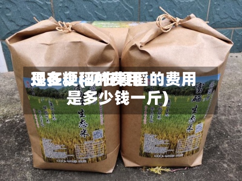 现在粳稻的费用是多少(现在粳稻的费用是多少钱一斤)