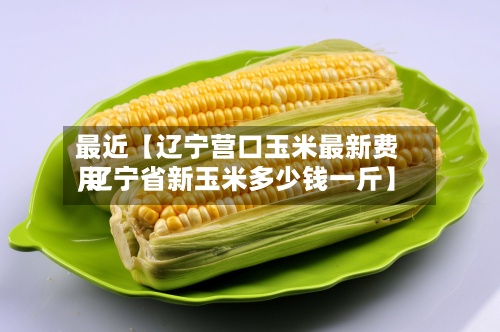 最近【辽宁营口玉米最新费用,辽宁省新玉米多少钱一斤】