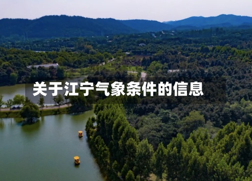 关于江宁气象条件的信息-第2张图片