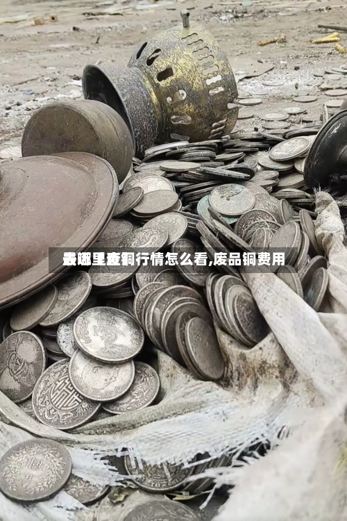 最近【废铜行情怎么看,废品铜费用
去哪里查】-第3张图片