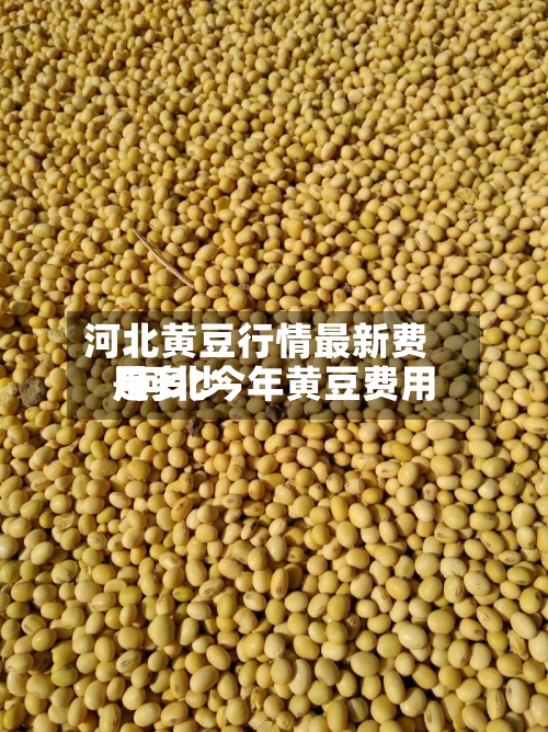 河北黄豆行情最新费用/河北今年黄豆费用是多少-第3张图片