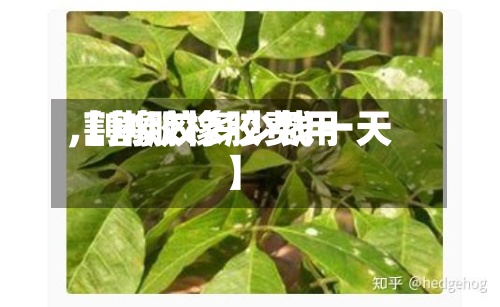 【割胶橡胶费用
,割橡胶多少钱一天】-第2张图片