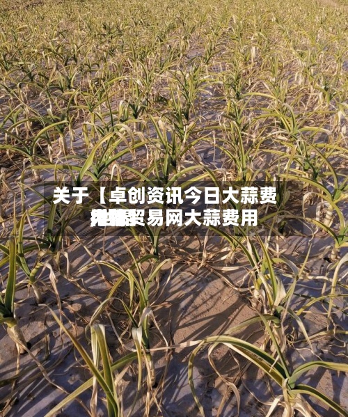 关于【卓创资讯今日大蒜费用,世界大蒜贸易网大蒜费用行情】