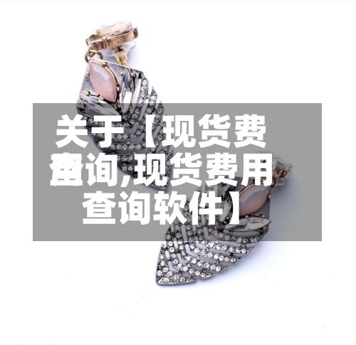 关于【现货费用查询,现货费用查询软件】-第2张图片