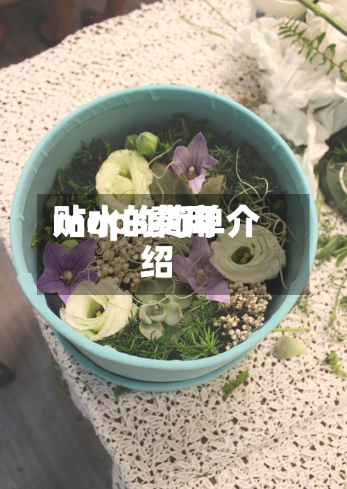 mops费用贴水的简单介绍