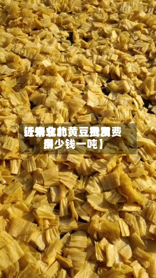 近来【东北的黄豆费用行情东北黄豆批发费用多少钱一吨】-第2张图片