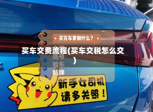 买车交费流程(买车交税怎么交)