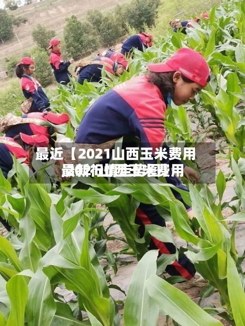 最近【2021山西玉米费用
,2021山西玉米费用
最新行情走势图】-第2张图片