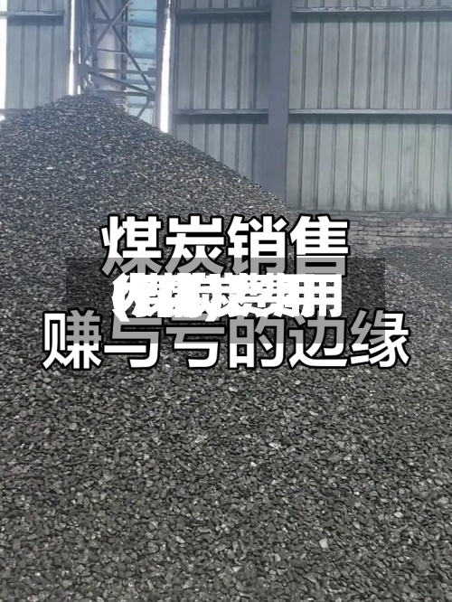 大煤炭费用(煤炭费用行情)