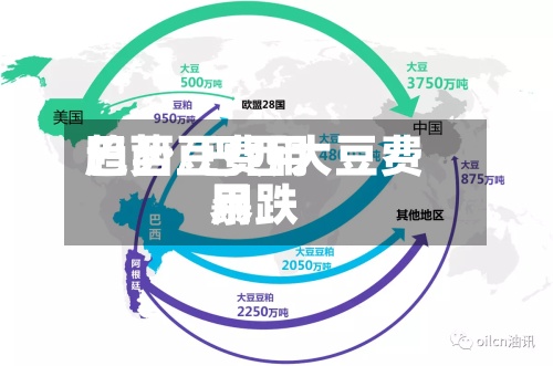 巴西豆费用趋势/巴西大豆费用暴跌