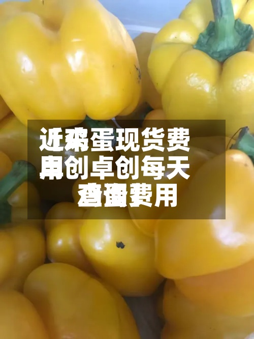 近来【鸡蛋现货费用卓创卓创每天鸡蛋费用查询】