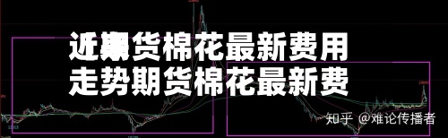 近来【期货棉花最新费用走势期货棉花最新费用走势预测】-第3张图片