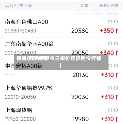 镁锭今日费用查询(镁合金锭今日报价镁锭网价行情)-第2张图片